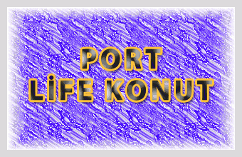 Port Life Konut